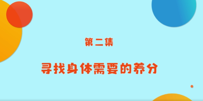 《小小營(yíng)養師》科普課程——第二講